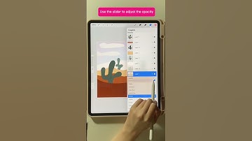 How To Change The Opacity Of A Layer In Procreate #procreatetips