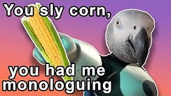 hqdefault.jpg?sqp=-oaymwEjCPYBEIoBSFryq4