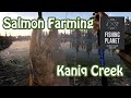Cara Farming Salmon di Kaniq Creek - Fishing Planet Indonesia - Blackthin