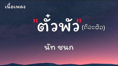 ตั๋วผัว(ຕົວະຜົວ) - นัท ชนก[เนื้อเพลง]🎶 [ Official Music Video ]
