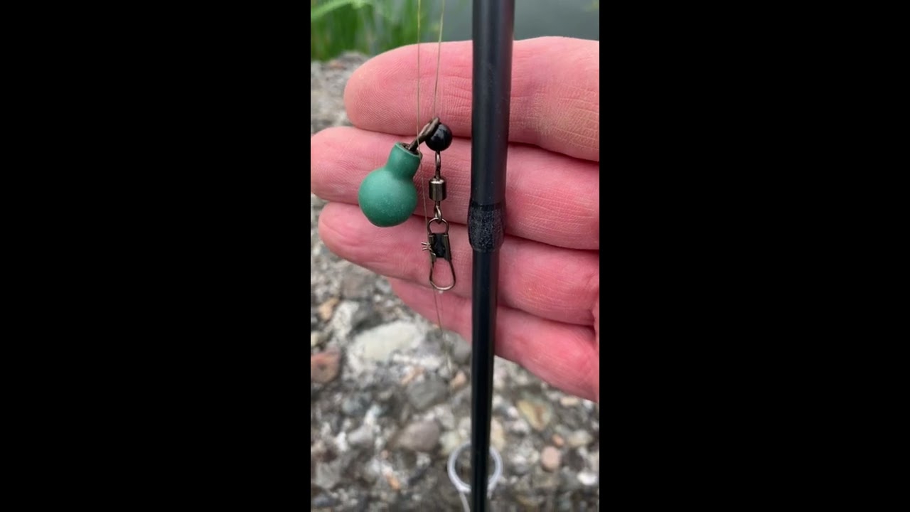 I Found The BEST Beginner Trout Fishing Setup Shorts Troutfishing Fish