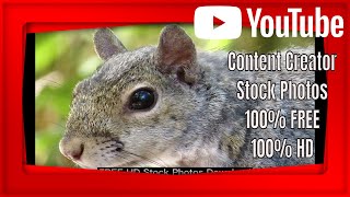 How to get 𝗙𝗥𝗘𝗘 𝗮𝗻𝗱 𝗛𝗗 𝗦𝘁𝗼𝗰𝗸 𝗣𝗵𝗼𝘁𝗼𝘀 for YouTube | Over +1,000 copyright-free, HD photos to download
