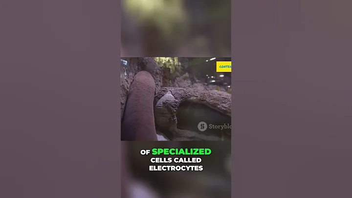 The Electric Eel: Nature's Shocking Evolutionary Wonder