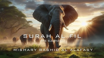 Surah Al Fil (The Elephant) | Mishary Rashid Al Alafasy - سورة الفيل