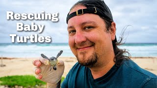 Rescuing Baby Sea Turtles in Cozumel, Mexico | HUGE Bucket List Item