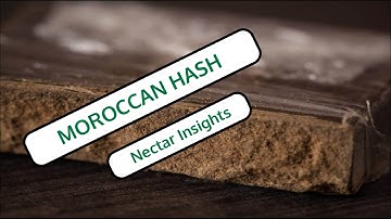 Moroccan Hash | Everything you need to know from it