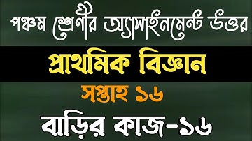 Class five Science 16 week assignment | Class five Science homework 16 answer | homework 16