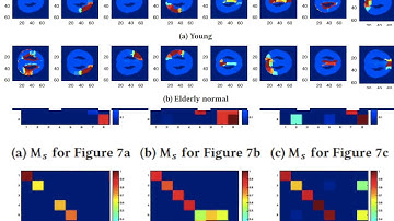 Discovering Models from Structural and Behavioral Brain Imaging Data
