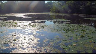 Ep 07 - Fort Harrison State Park