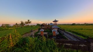 Sunrise sawah buleleng by Indra Eska 35 views 2 weeks ago 3 minutes, 54 seconds