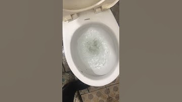 Bồn cầu bị tắc