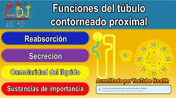 ¿Que se absorbe en el túbulo proximal?