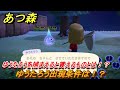 あつまれどうぶつの森 ゆうたろう出現条件は ゆうたろうを捕まえると貰えるものとは あつ森 あつまれどうぶつの森 ゆうたろう出現条件は ゆうたろうを捕まえると貰えるものとは あつ森