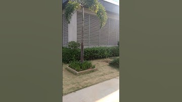 Nice green park @Oracle Tech Hub, Bangalore