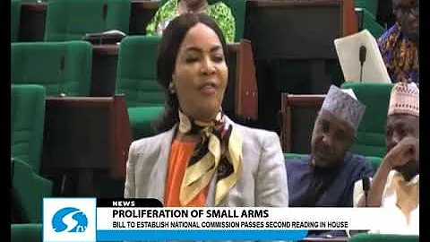 Proliferation of small arms - Bill to establish National Commission passes second reading in House
