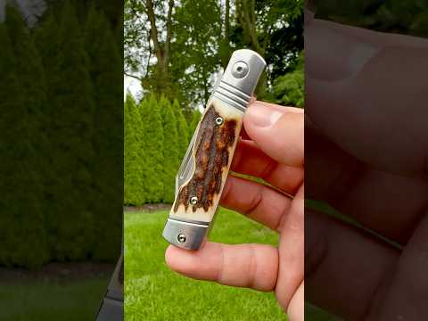 Hot Brass Jack: Stag - Clip Point 154CM