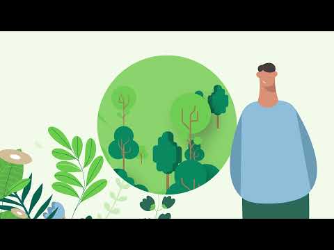 Video: Hoe kunnen we bossen duurzaam beheren?
