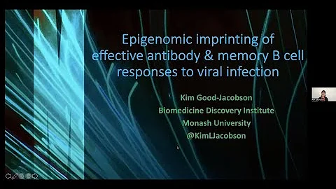 "Epigenomic imprinting of Abs & memory B cell resp...