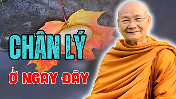 Người Có Tâm Linh Cao Mới Thực Sự Hiểu Được Điều Sư Ông Giảng | HT. Viên Minh