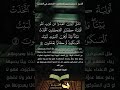 مثل الذين اتخذوا من دون الله أولياء كمثل العنكبوت اتخذت بيتا وإن أوهن البيوت لبيت العنكبوت مثل الذين اتخذوا من دون الله أولياء كمثل العنكبوت اتخذت بيتا وإن أوهن البيوت لبيت العنكبوت