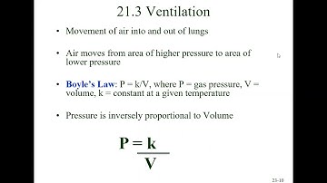 Bio 169 Chapter 21 Respiratory Lecture Video Part 1