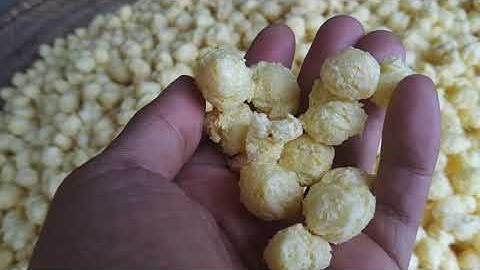 Tổng Hợp Các Dòng Máy Nổ Bỏng Bình Minh