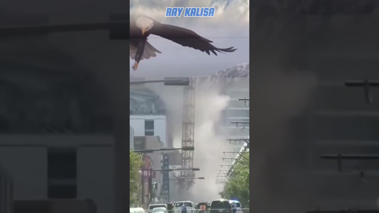 scary‼️giant eagle destroy buildings during an earthquake❗️