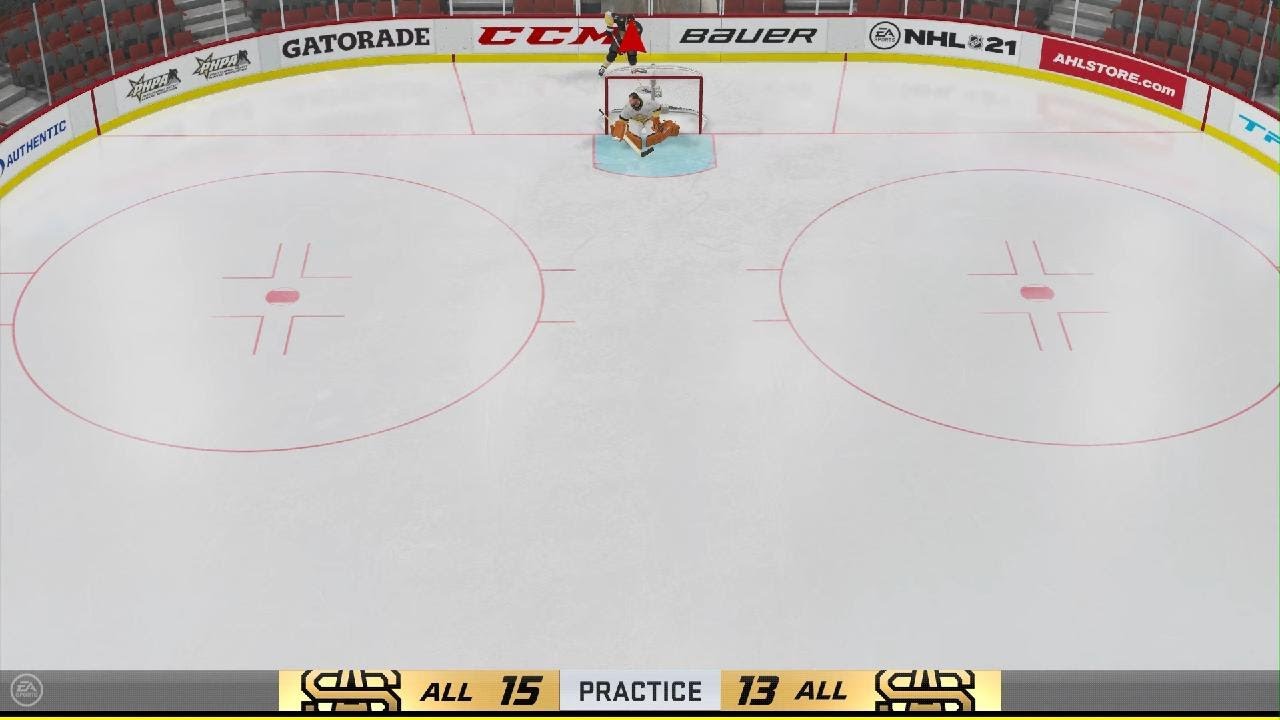 I hit the most difficult deke in all of nhl (the Michigan)