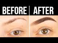 HOW TO: Beginner Brows (Makeup 101) || KELLI MARISSA