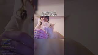 This Is Ur Sign To Give Ur Cat A Purrpop