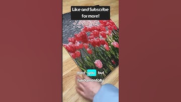 Computer as Footrest!?  IT Fail! - r/talesfromtechsupport