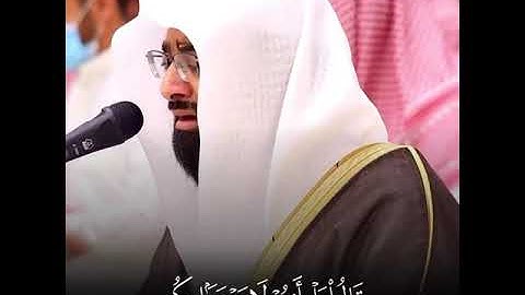 ما تيسر من سورة ص بصوت الشيخ ناصر القطامي 🤍😭