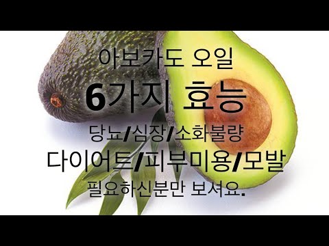 아보카도오일 추천