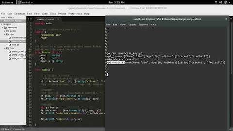 Go Golang Lowercase key names with JSON Marshal and UnMarshal