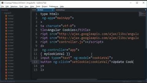 AngularJS Tutorial 45 Cookies