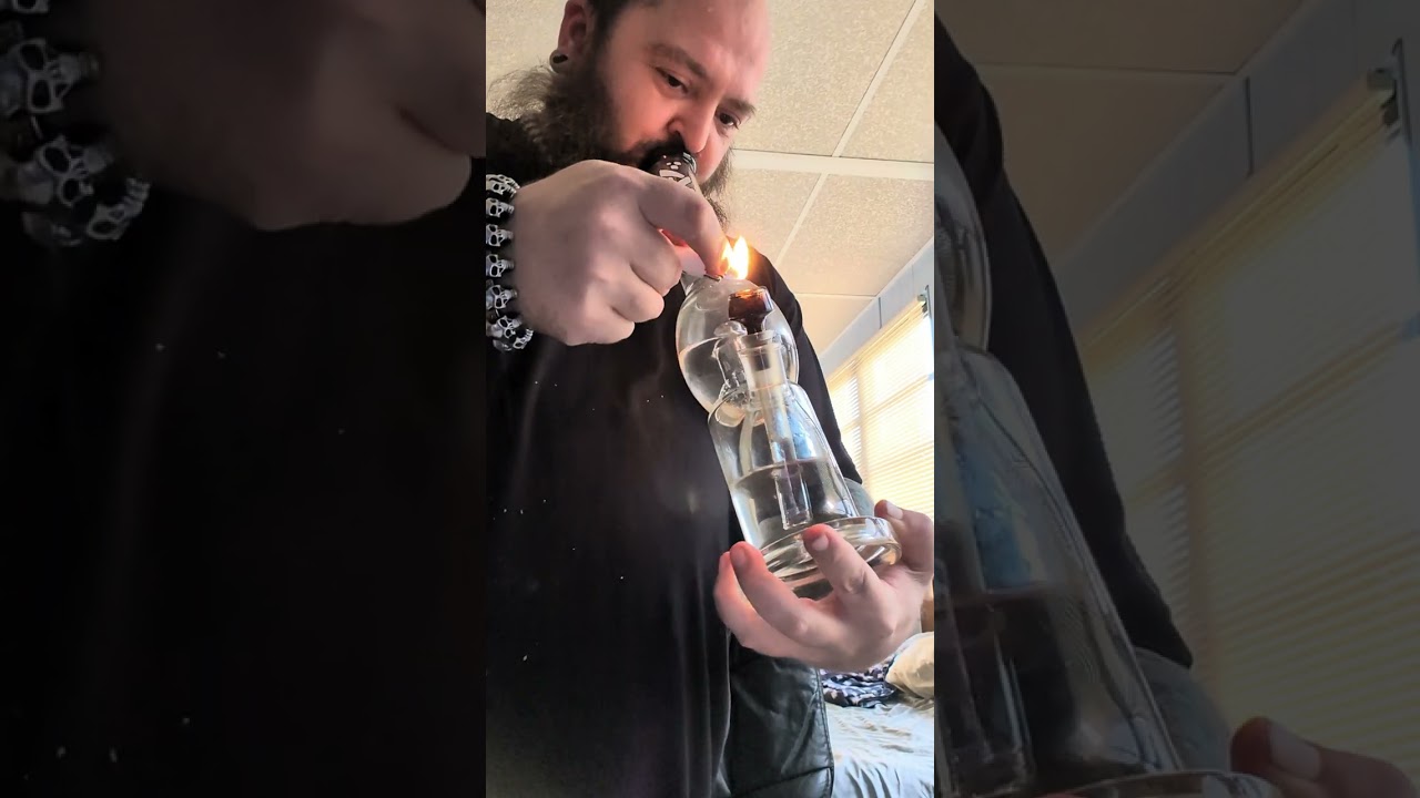 Lemon Cherry Gelato THCA FlameTrainCBD 🚂 🔥🔥