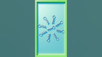 #limbo try to find the key (Hard)