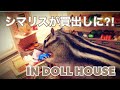 シマリスビッケとシルバニアファミリー2 / Chipmunk Bikke with Calico Critters (Sylvanian Families)