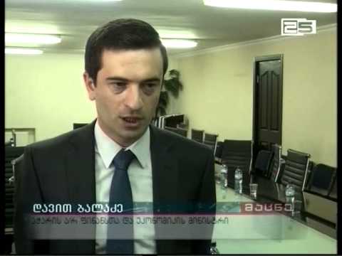 აჭარის ფინანსთა და ეკონომიკის სამინისტროს უცხოელი ფინანსისტები სტუმრობენ