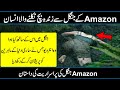 A man survive in amazon rainforest in urdu hindi