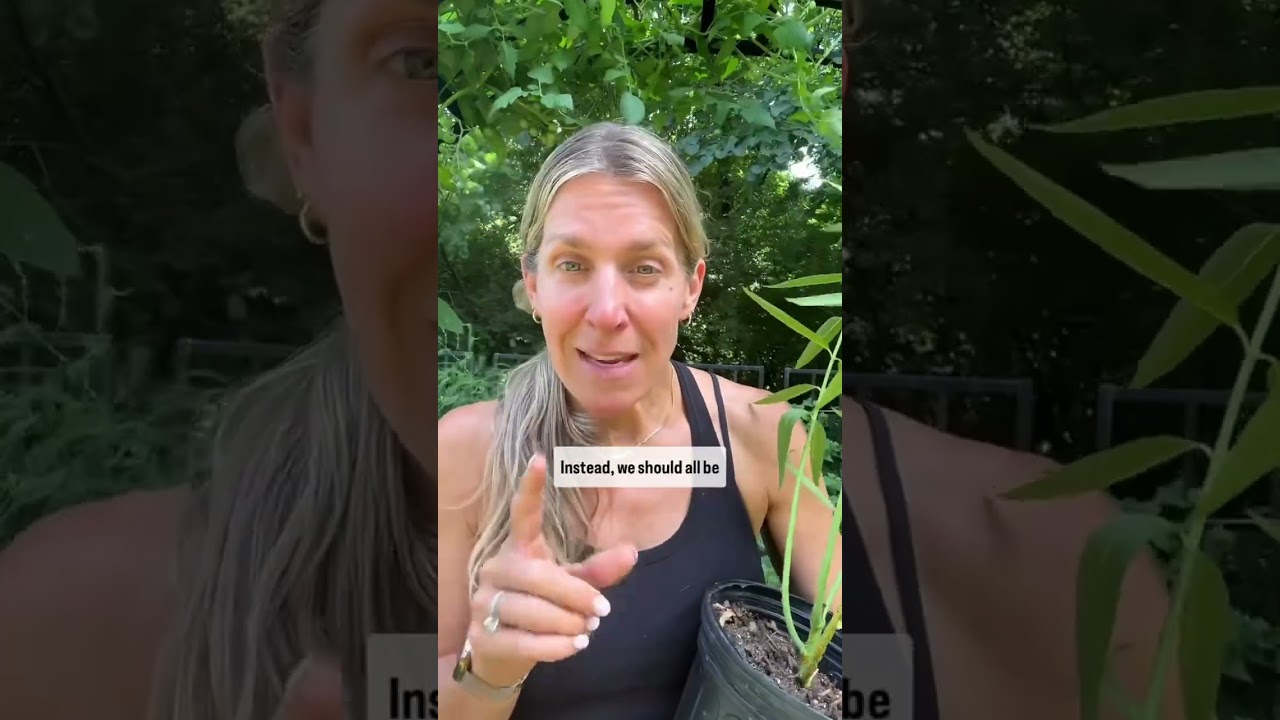 If we don’t grow more milkweed, the monarch WILL go extinct🦋