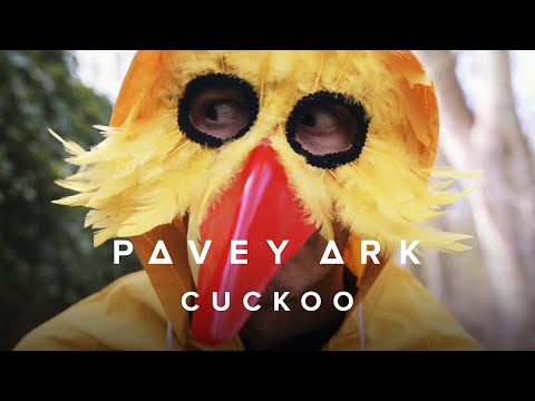 Watch Pavey Ark - Cuckoo (Official Music Video) on YouTube Watch Pavey Ark - Cuckoo (Official Music Video) on YouTube