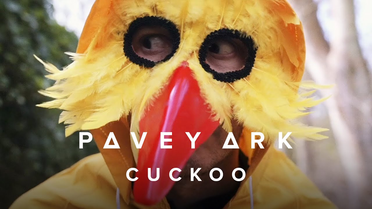 Watch Pavey Ark - Cuckoo (Official Music Video) on YouTube Watch Pavey Ark - Cuckoo (Official Music Video) on YouTube