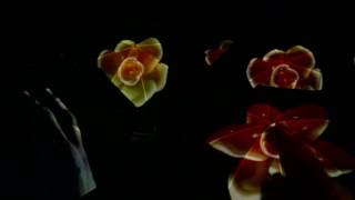 Flow - A Quick Look - Hd By Paul Harden E Grazia Genovese - Chiostro Boccarini Amelia