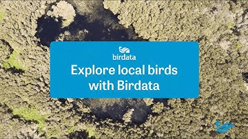 Birdata tutorial   Explore local birds with Birdata