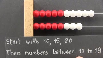 ThemeVille Math 1 - Pre-lessons: Counting with the Rekenrek 0 - 20