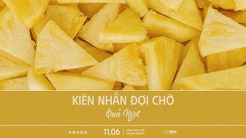 Kiên Nhẫn Đợi Chờ Quả Ngọt | Oneway Radio - Tĩnh Nguyện Hằng Ngày 11/06/2025