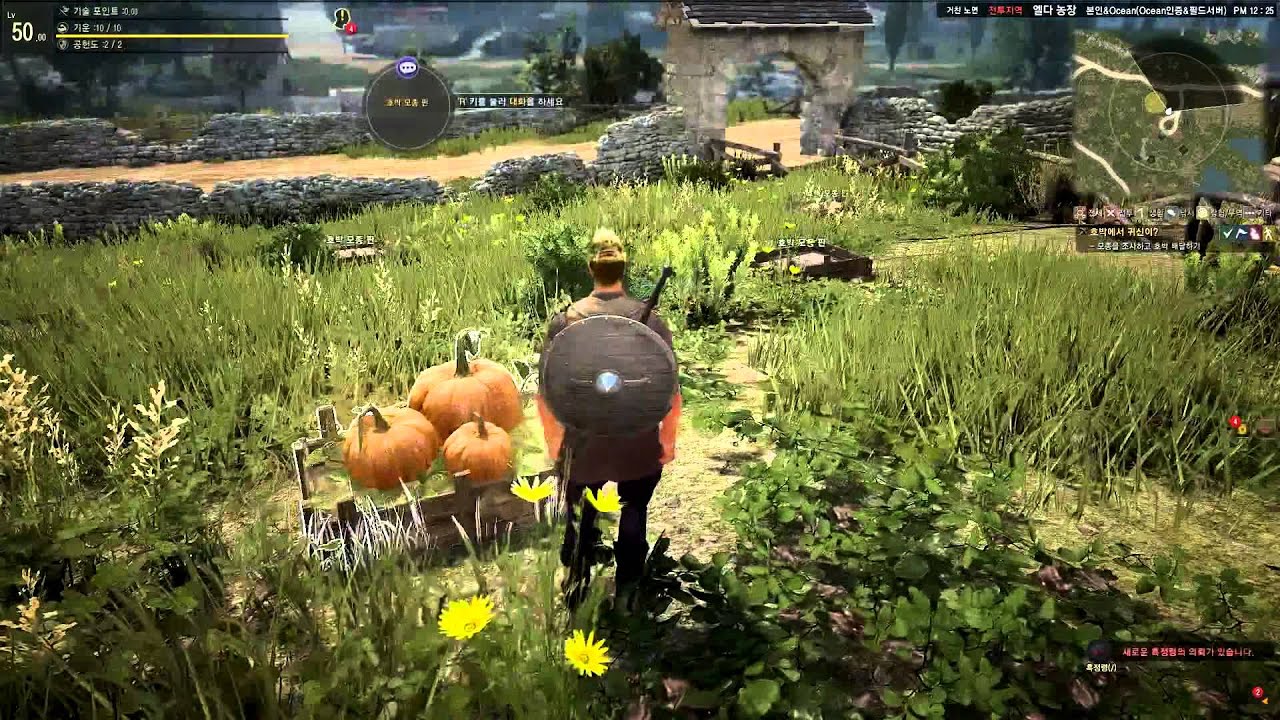 Black Desert Quests and Minigames YouTube