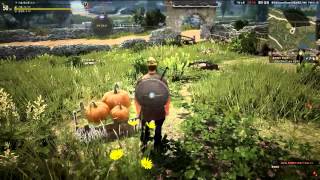 Black Desert Quests and Minigames