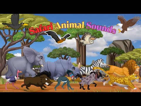 Safari Animal Sounds | Animal Sounds Song for Kids N21TH4 | Animal ...